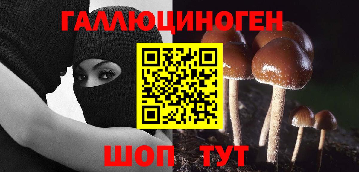 что такое   Вход с VPN  Людиново  Псилоцибиновые грибы Cubensis  Псилоцибиновые грибы GOLDEN TEACHER 